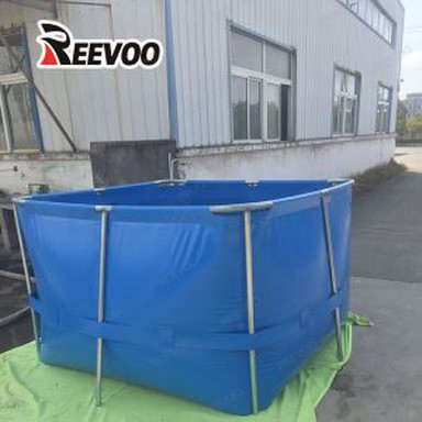 Foldable Blue Fish Pool
